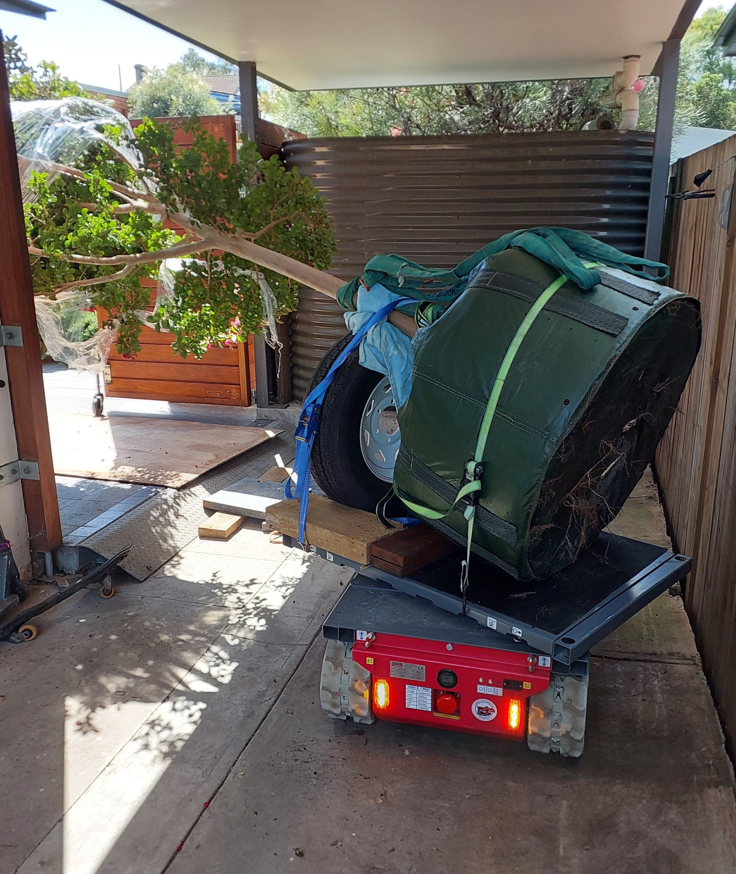 Tracked Carrier Relocating A Large Tree In Sydney